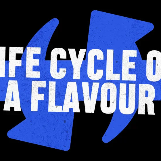 The Life Cycle of a Flavour